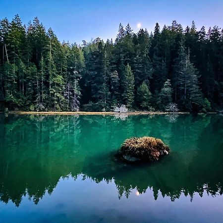 Mendocino Redwood Retreat - Vista Home Albion Ngoại thất bức ảnh