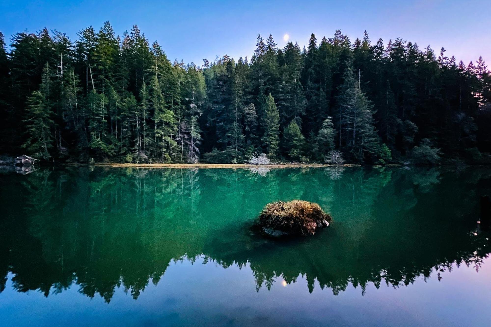 Mendocino Redwood Retreat - Vista Home Albion Ngoại thất bức ảnh