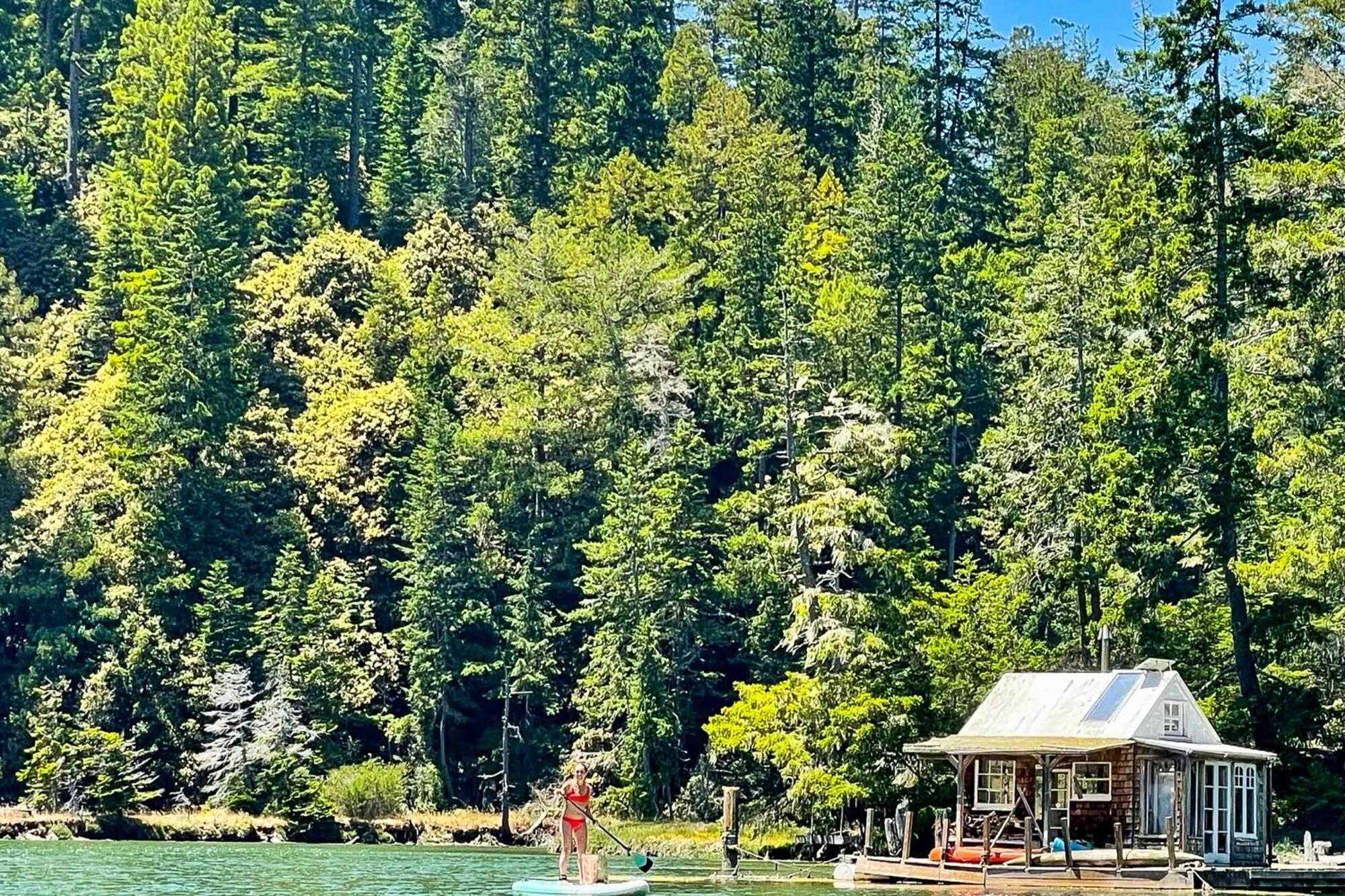 Mendocino Redwood Retreat - Vista Home Albion Ngoại thất bức ảnh