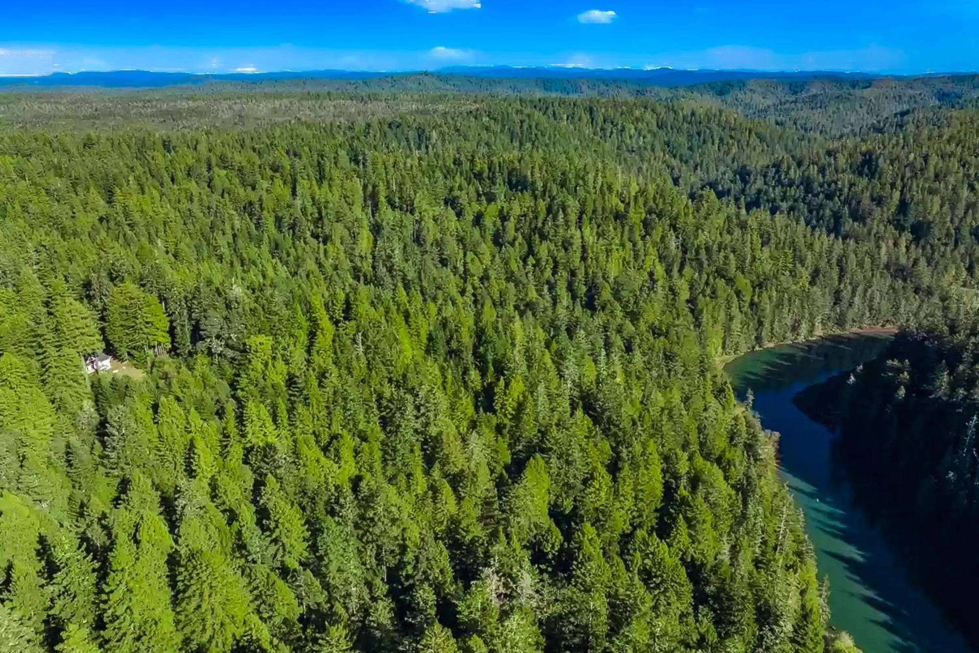 Mendocino Redwood Retreat - Vista Home Albion Ngoại thất bức ảnh